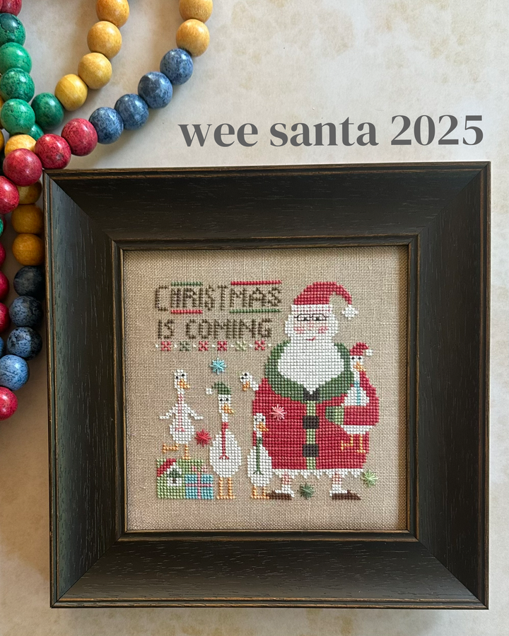 Wee One: Wee Santa 2025