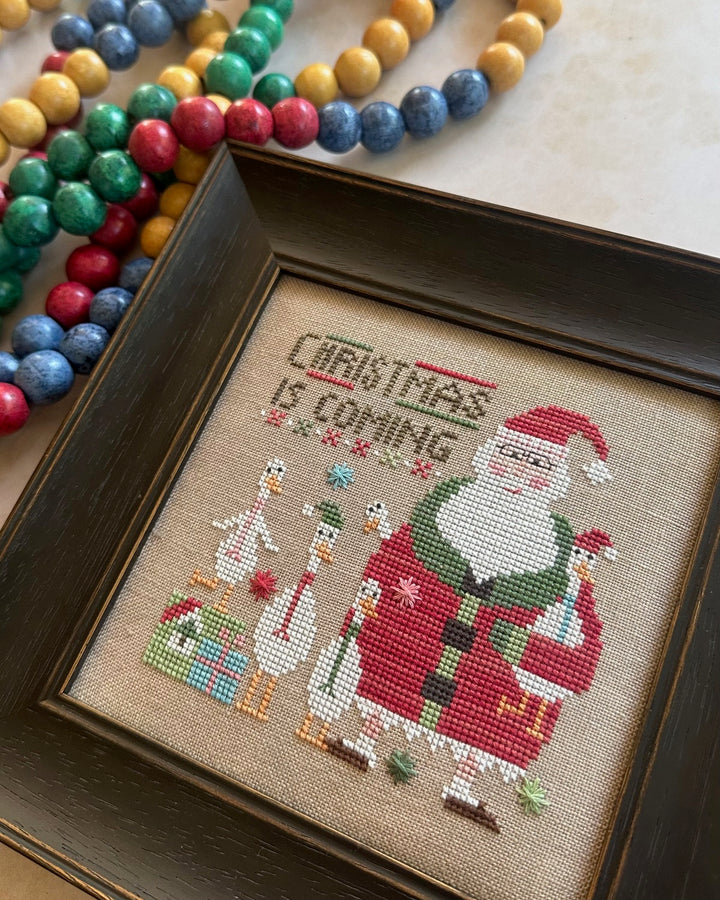 Wee One: Wee Santa 2025